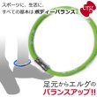 画像1: erg［エルグ］スポーツアンクレット LIMITED EDITION（ライトグリーン） (1)