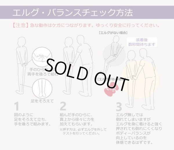 画像6: erg［エルグ］ソルト（ハンディタイプ80粒） (6)