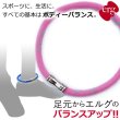画像1: 【10%OFF：Disconモデル】erg［エルグ］スポーツアンクレット LIMITED EDITION（ピンク） (1)