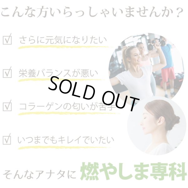 画像5: 燃やしま専科レモン風味(500g入り) (5)