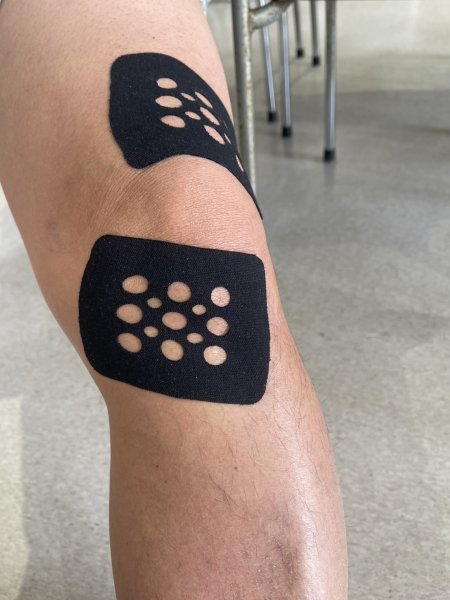 画像5: エルグ・キネシオロジーシート（10枚入り）レギュラーサイズ：7.5cm×10cm (5)