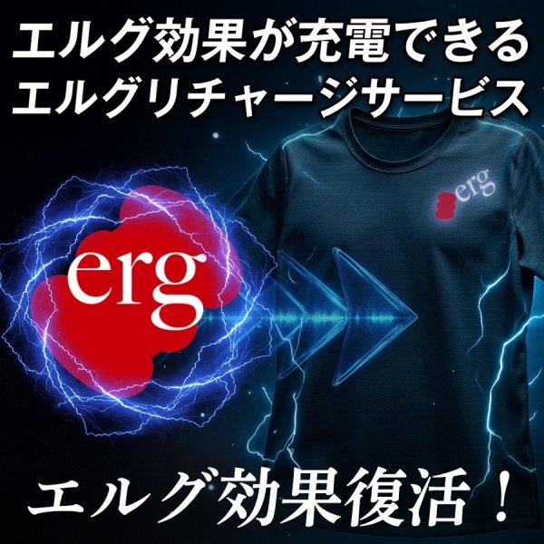 画像7: erg [エルグ] リチャージウェア（WH) メンズトップス (7)