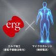 画像6: erg [エルグ] リチャージウェア（WH) メンズトップス (6)