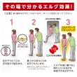 画像7: erg［エルグ］ソルト（ハンディタイプ80粒） (7)