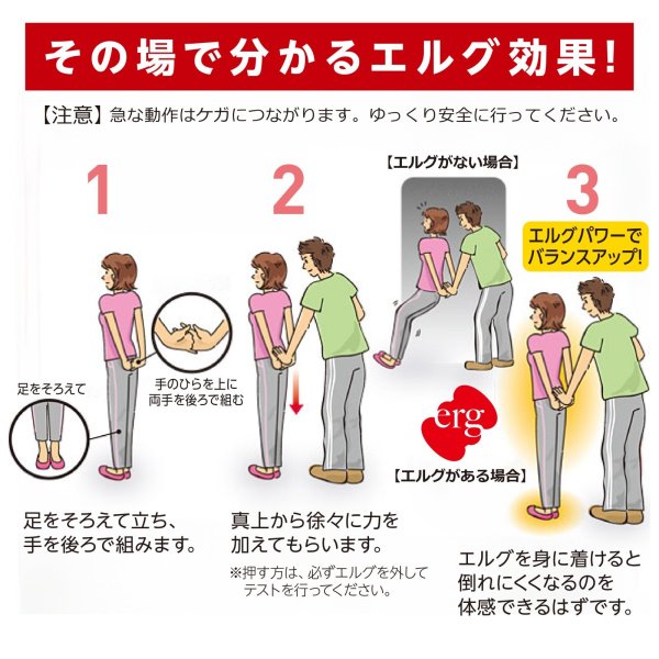 画像7: erg［エルグ］ソルト（ハンディタイプ80粒） (7)