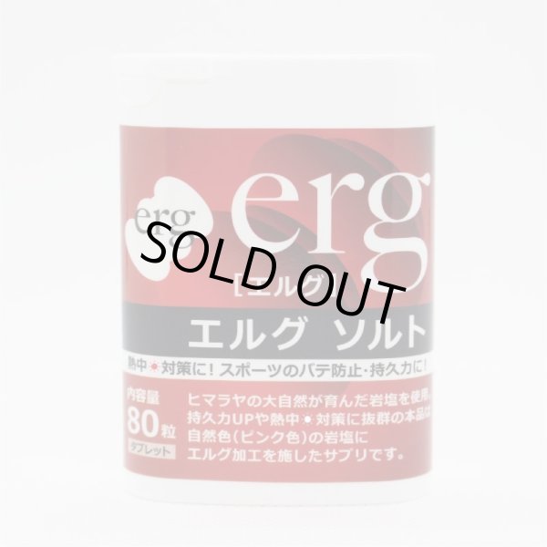 画像2: erg［エルグ］ソルト（ハンディタイプ80粒） (2)