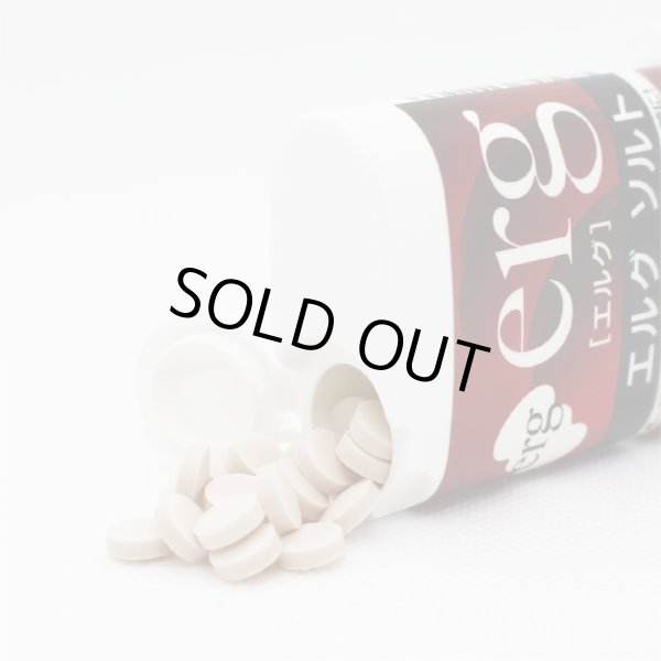 画像3: erg［エルグ］ソルト（ハンディタイプ80粒） (3)