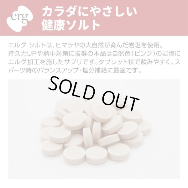 画像5: erg［エルグ］ソルト（ハンディタイプ80粒） (5)